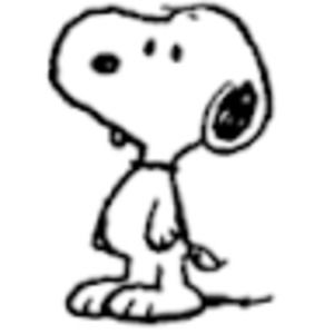 Meet your Posher, Marcus